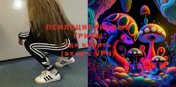 герыч Няндома