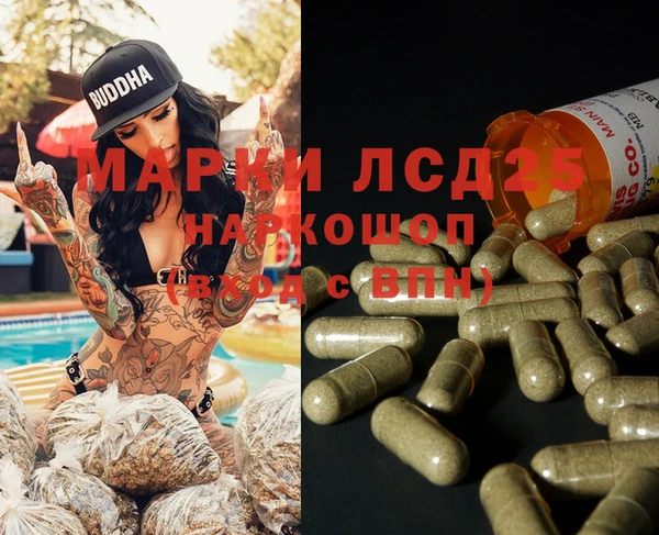 индика Алапаевск