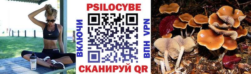 Псилоцибиновые грибы прущие грибы  Тырныауз 